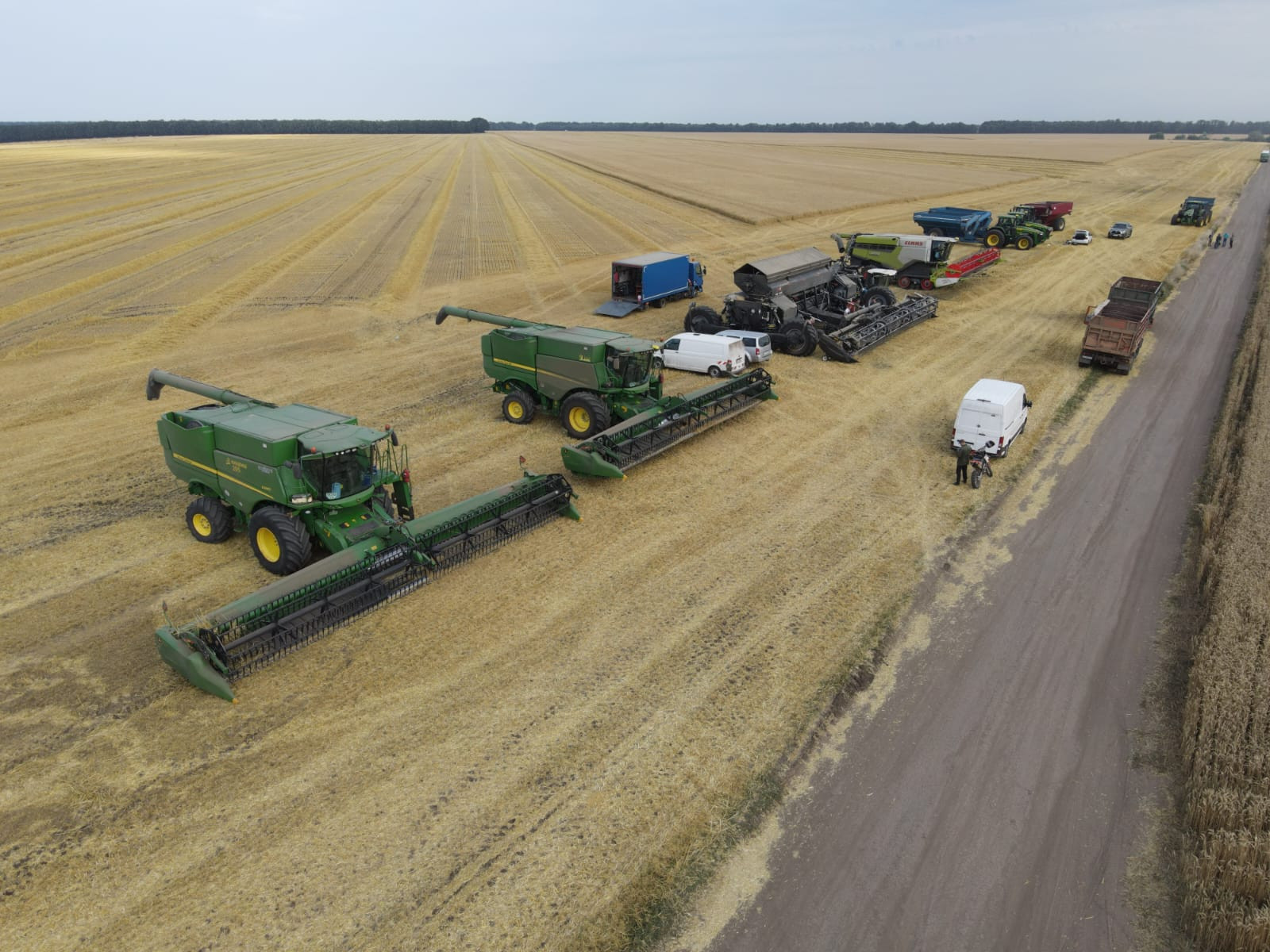 Erotika Polsha onlayn