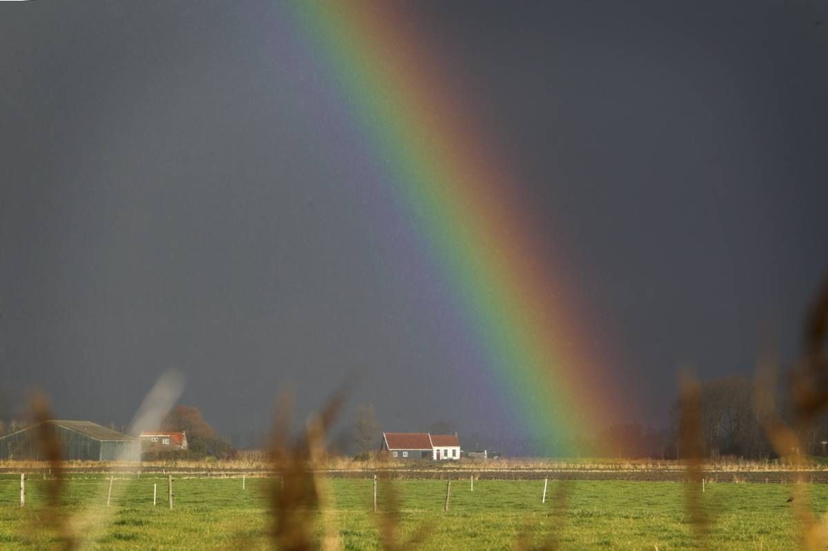 Hoeveel kleuren telt de regenboog?