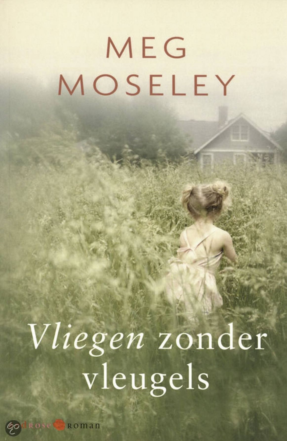 Amerikaanse roman ”Vliegen zonder vleugels” is sterk en