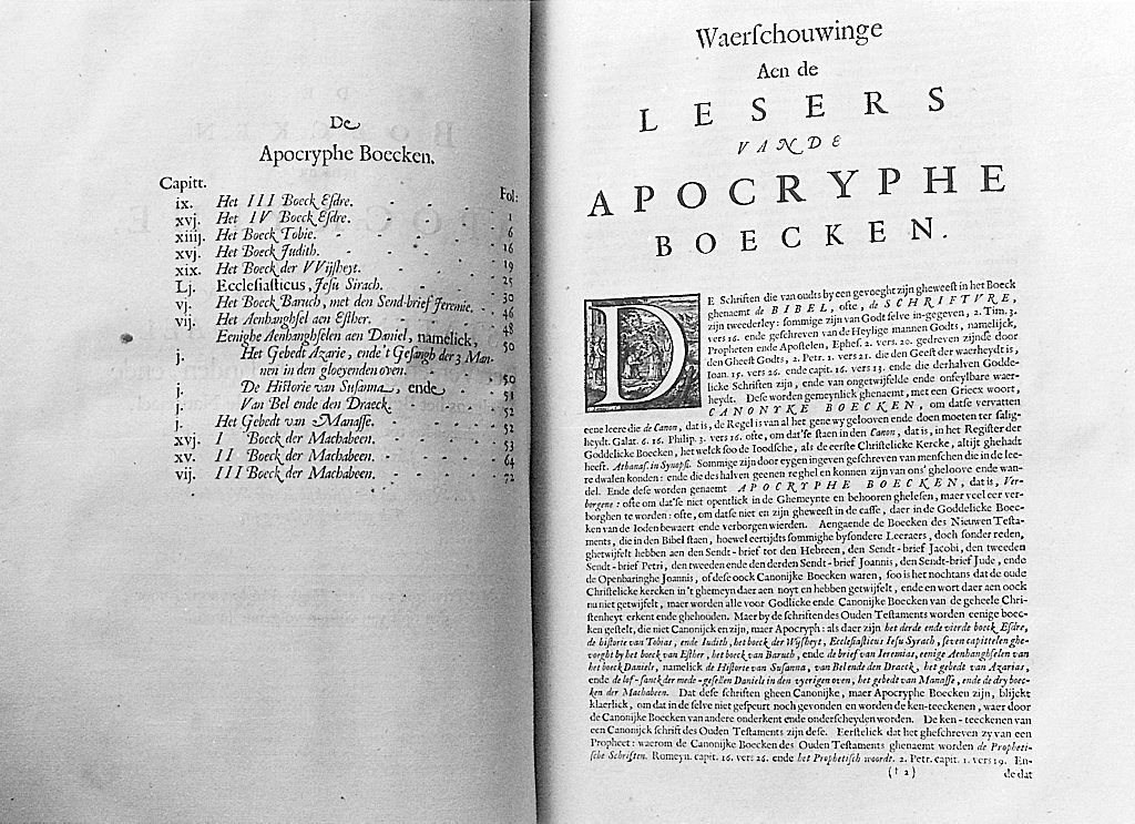 How to make essays longer picture